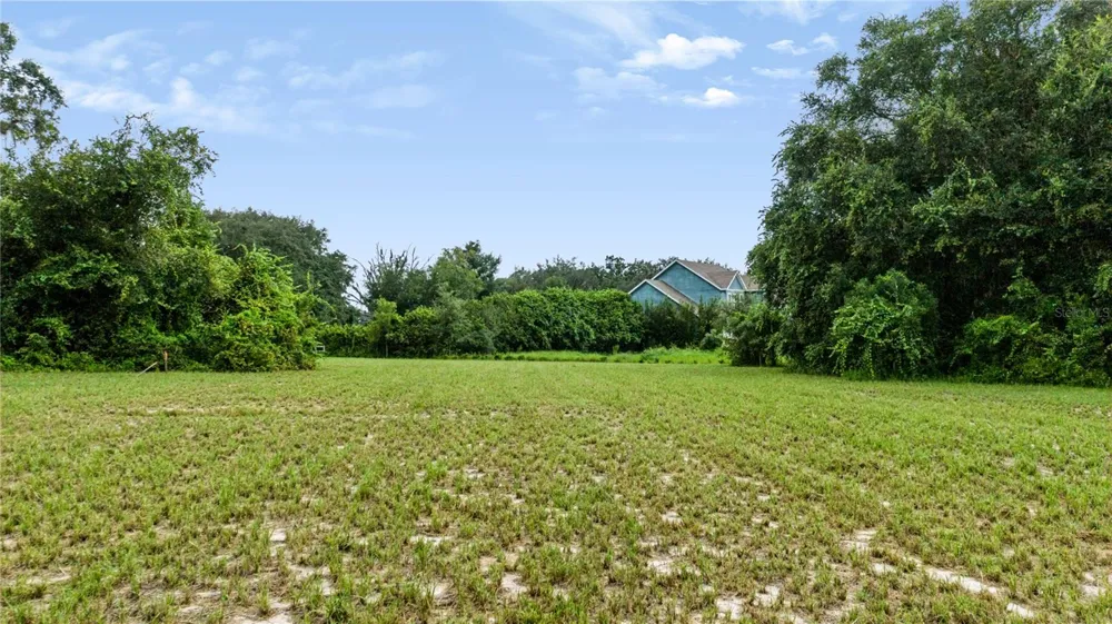 TROTTING HORSE LANE Tavares, FL 32778