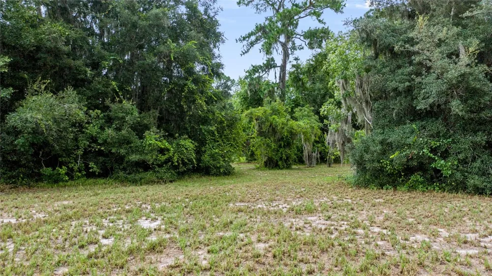TROTTING HORSE LANE Tavares, FL 32778
