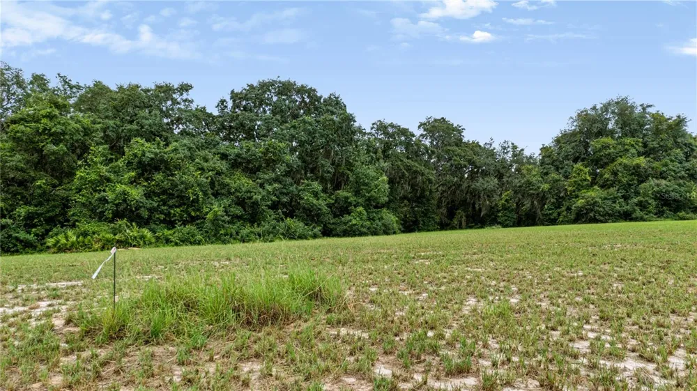 TROTTING HORSE LANE Tavares, FL 32778