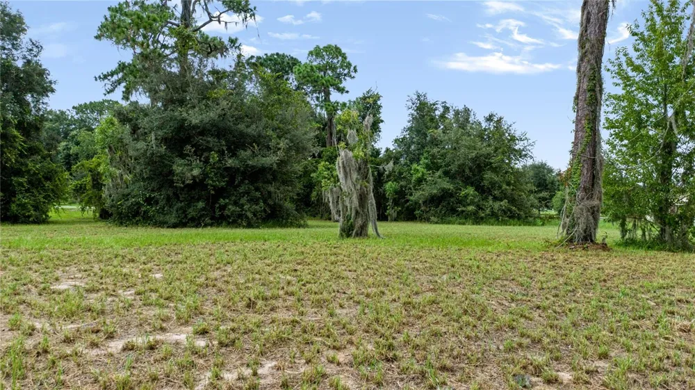 TROTTING HORSE LANE Tavares, FL 32778