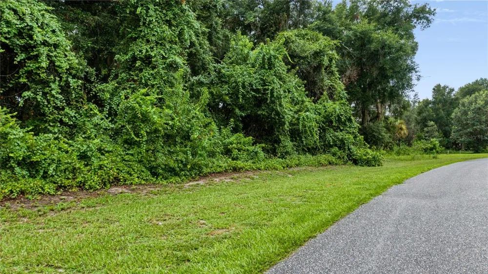 TROTTING HORSE LANE Tavares, FL 32778