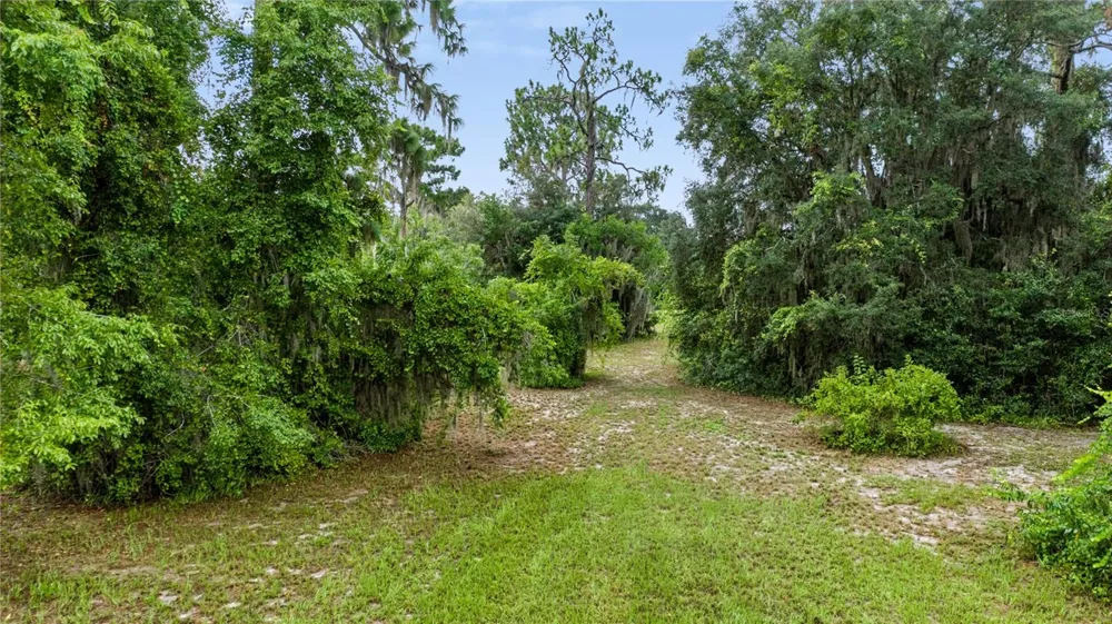 TROTTING HORSE LANE Tavares, FL 32778