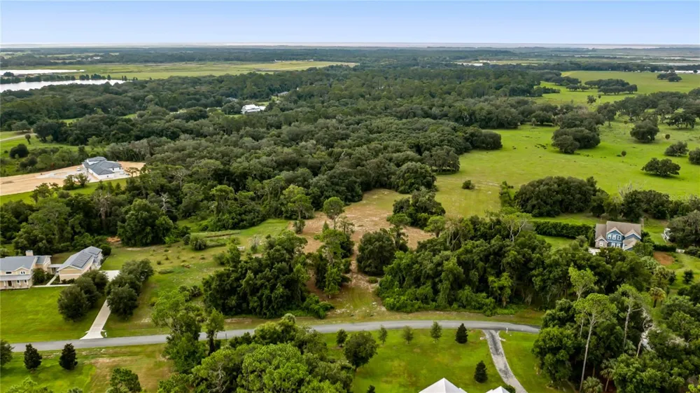 TROTTING HORSE LANE Tavares, FL 32778