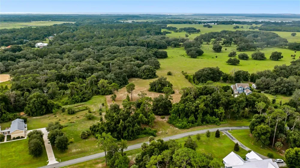 TROTTING HORSE LANE Tavares, FL 32778