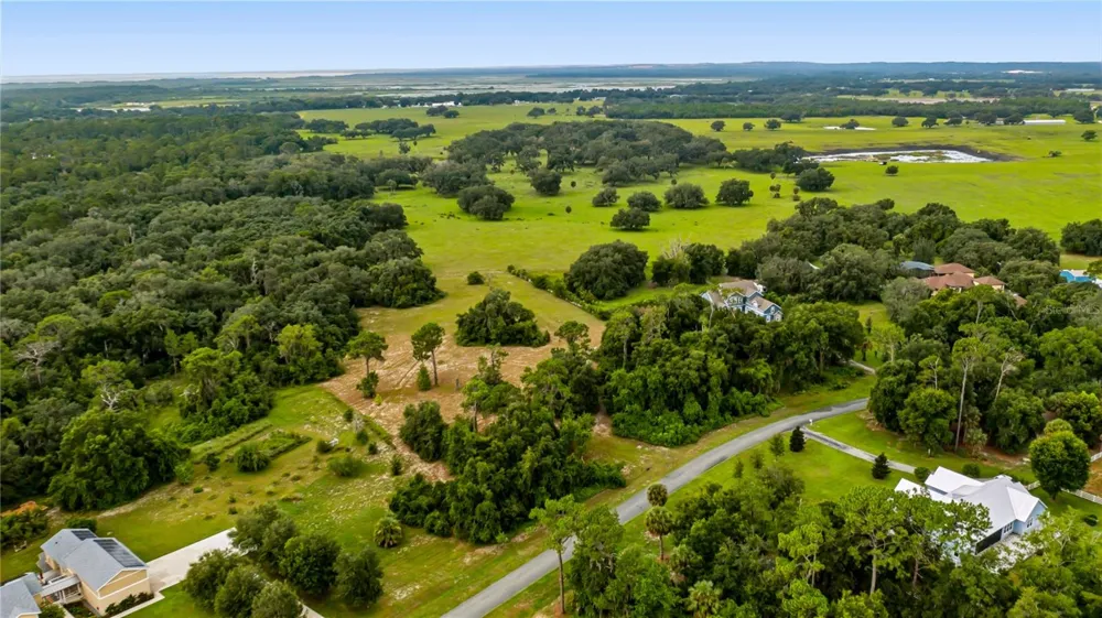 TROTTING HORSE LANE Tavares, FL 32778