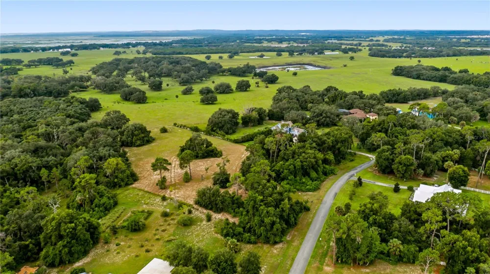 TROTTING HORSE LANE Tavares, FL 32778