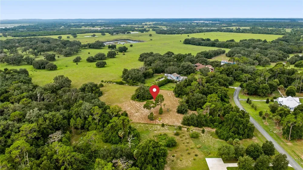 TROTTING HORSE LANE Tavares, FL 32778