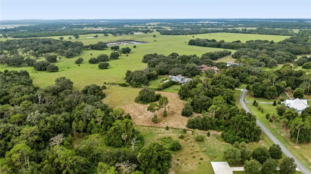 TROTTING HORSE LANE Tavares, FL 32778