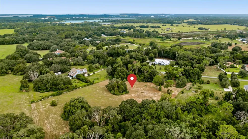 TROTTING HORSE LANE Tavares, FL 32778