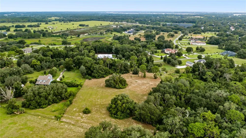 TROTTING HORSE LANE Tavares, FL 32778