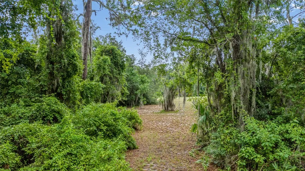 TROTTING HORSE LANE Tavares, FL 32778