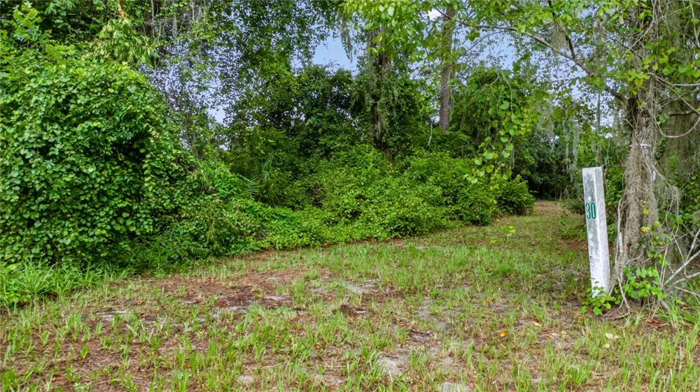 TROTTING HORSE LANE Tavares, FL 32778