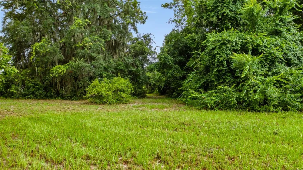 TROTTING HORSE LANE Tavares, FL 32778
