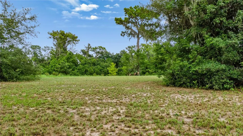 TROTTING HORSE LANE Tavares, FL 32778