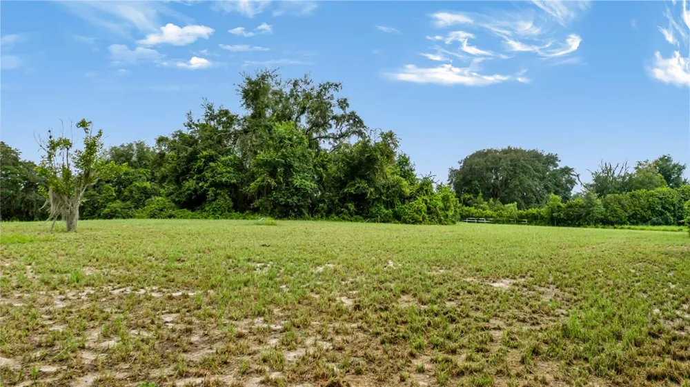 TROTTING HORSE LANE Tavares, FL 32778