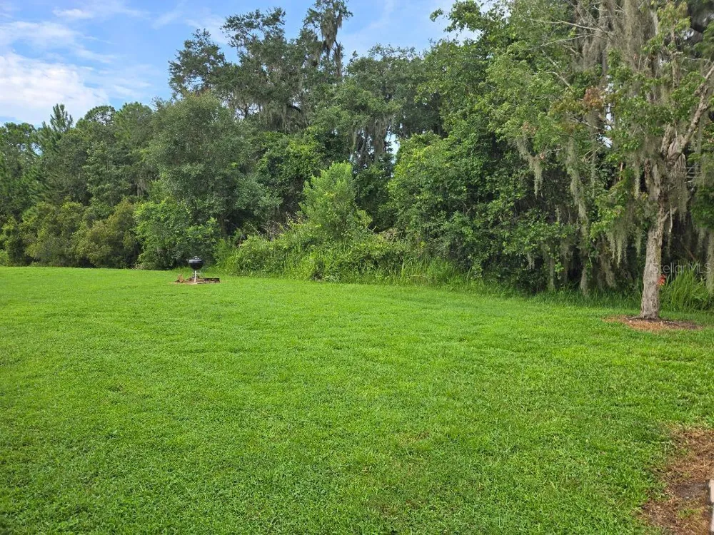 2633 WALDEN WOODS DRIVE Plant City, FL 33566