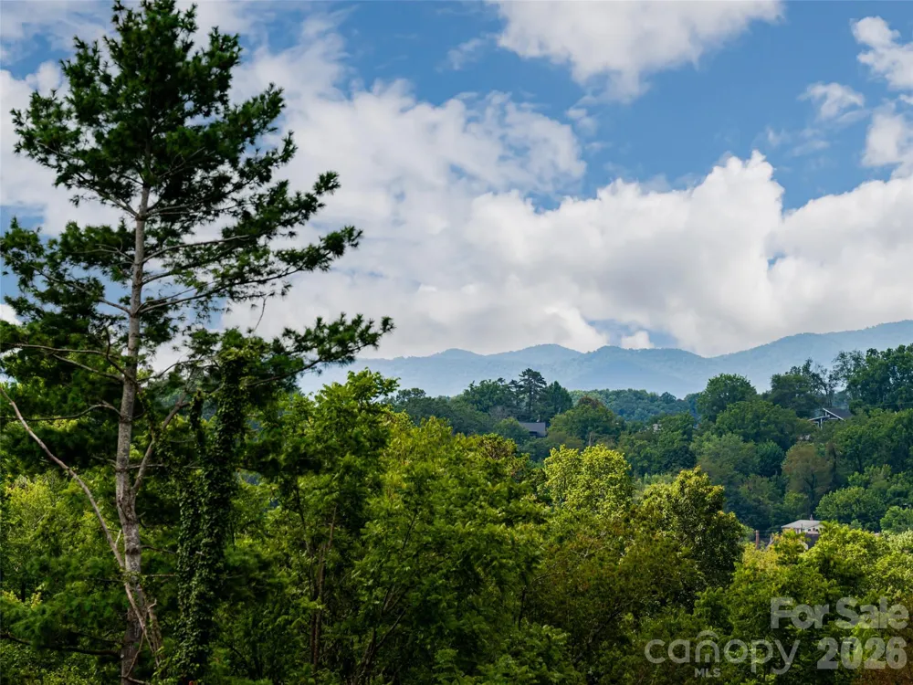 309 Ava Lane Asheville, NC 28804