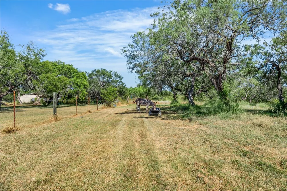 23107 County Road 1092 Mathis, TX 78368