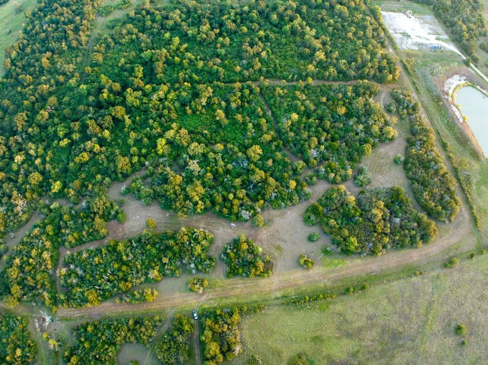 Burns Road Midway, TX 75852