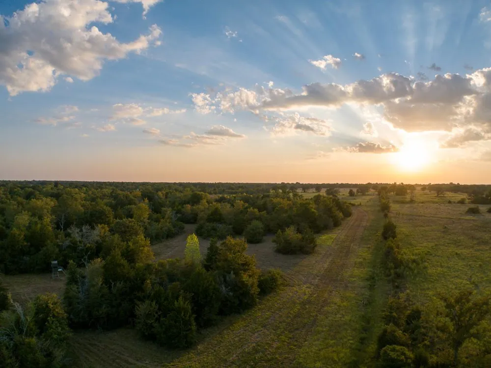 Burns Road Midway, TX 75852