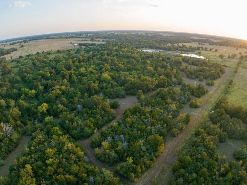 Burns Road Midway, TX 75852