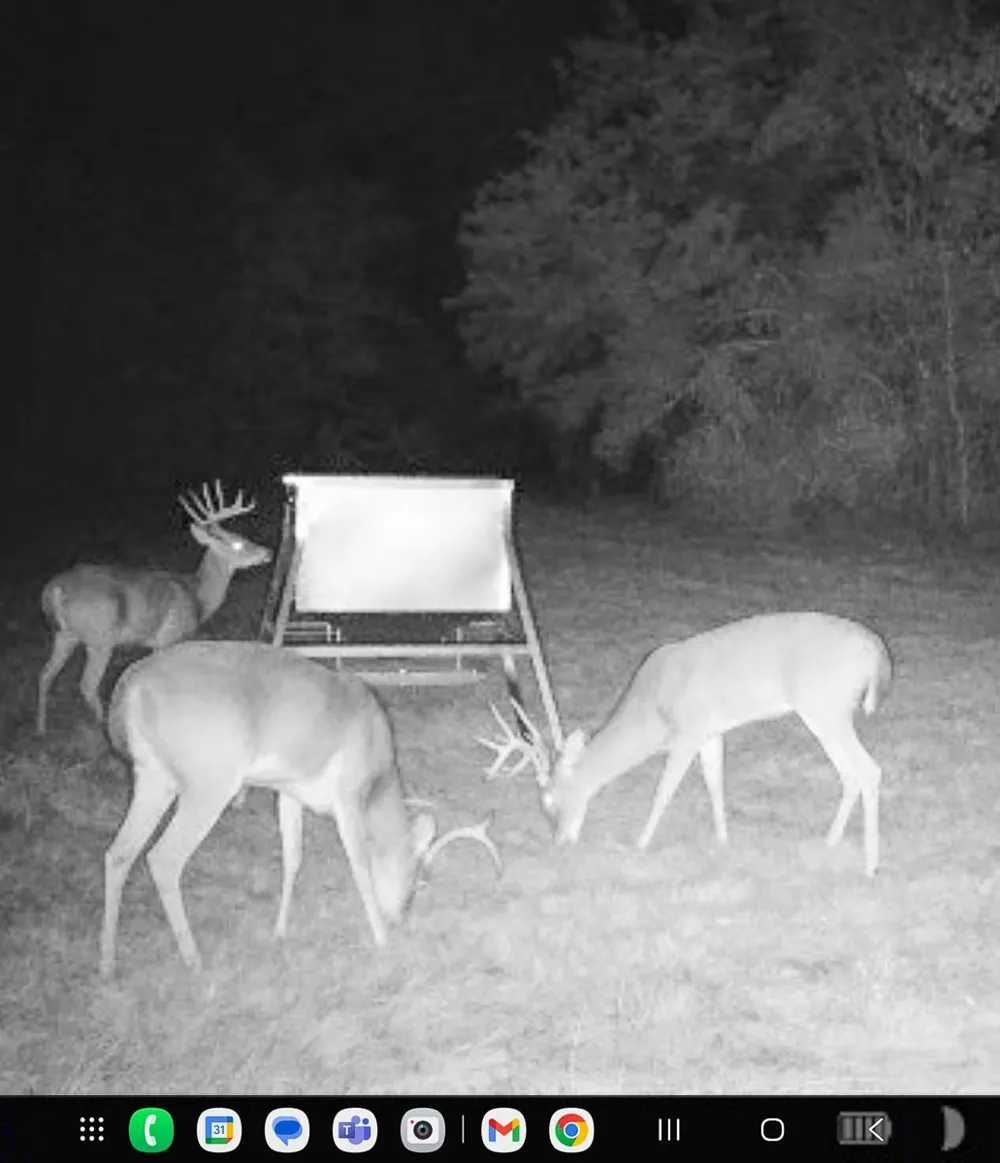 Burns Road Midway, TX 75852