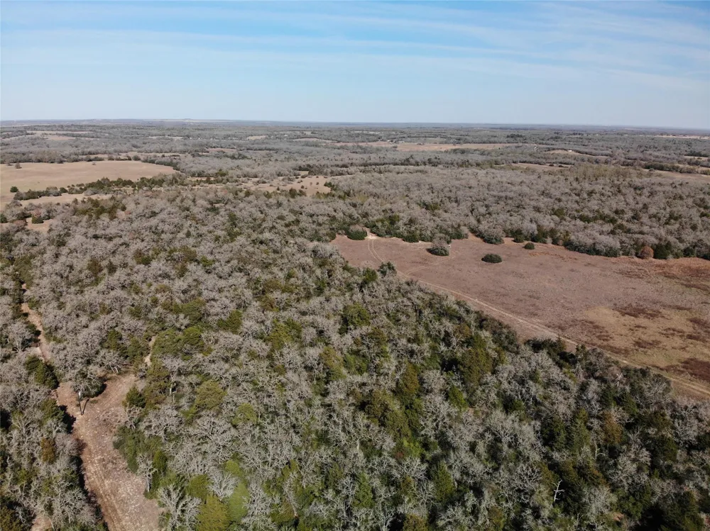 1202 Moonglow Lane Caldwell, TX 77836