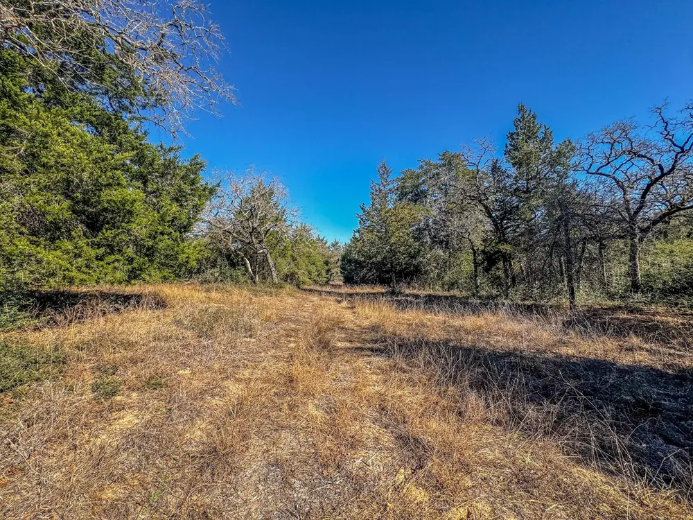 1202 Moonglow Lane Caldwell, TX 77836