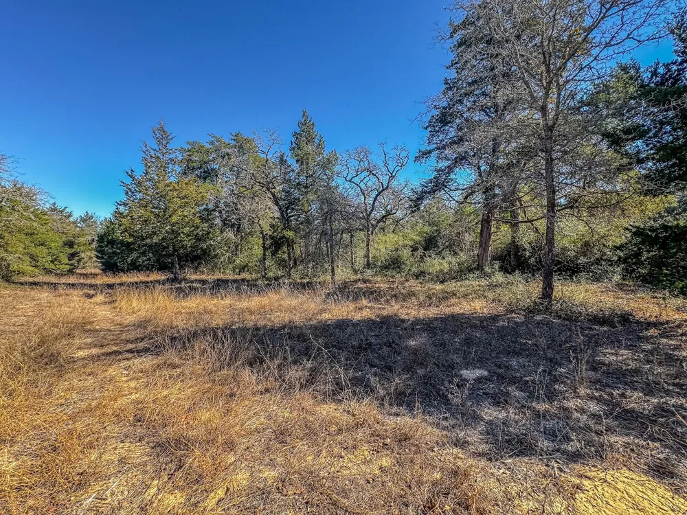 1202 Moonglow Lane Caldwell, TX 77836