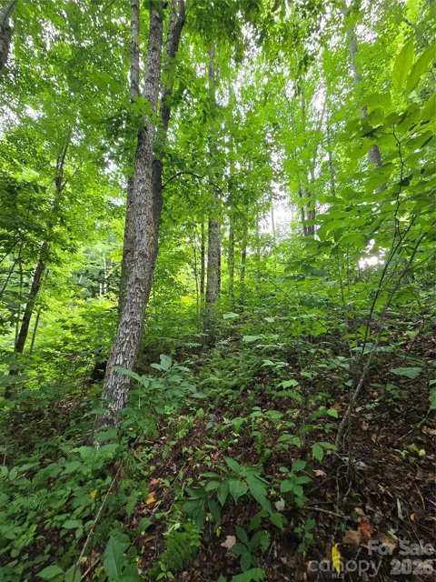 108 Tenderfoot Trail #108 & 109