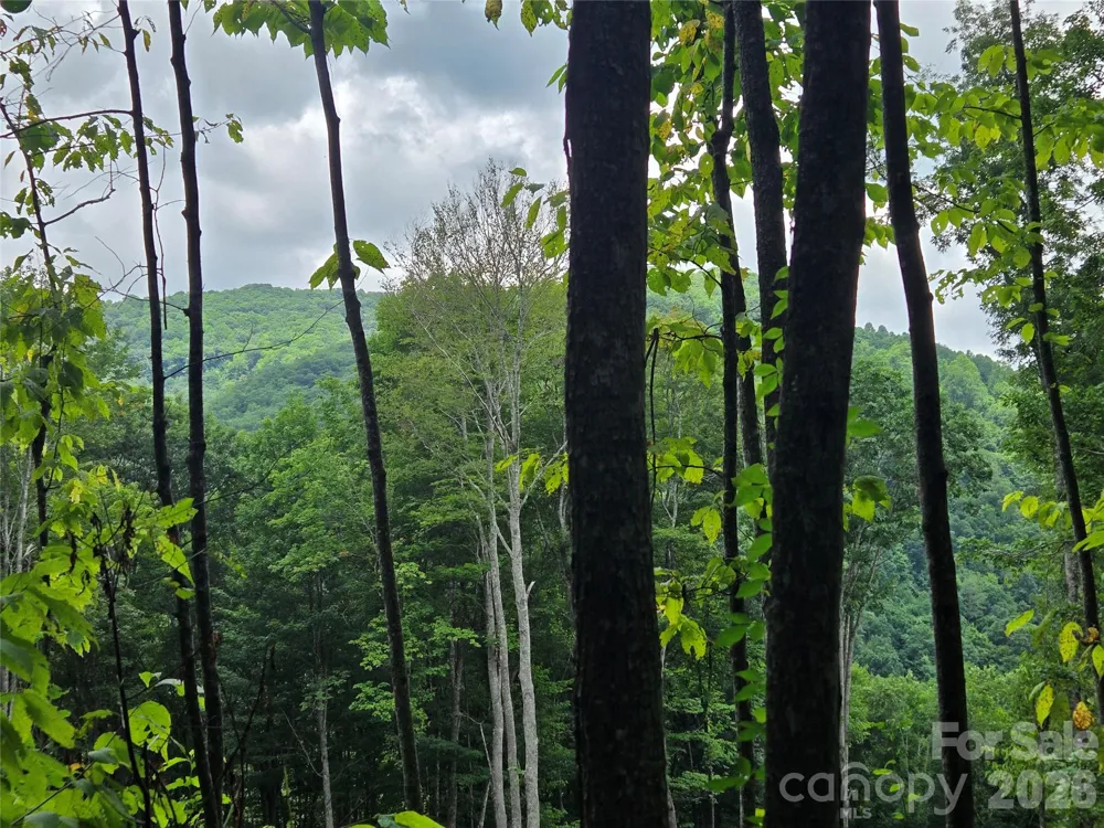 108 Tenderfoot Trail #108 & 109 Maggie Valley, NC 28751