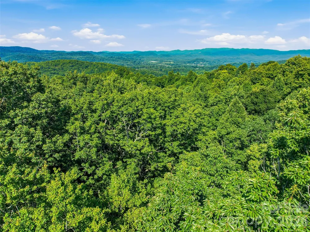 0000 Red Bud Lane #3-F Laurel Park, NC 28739