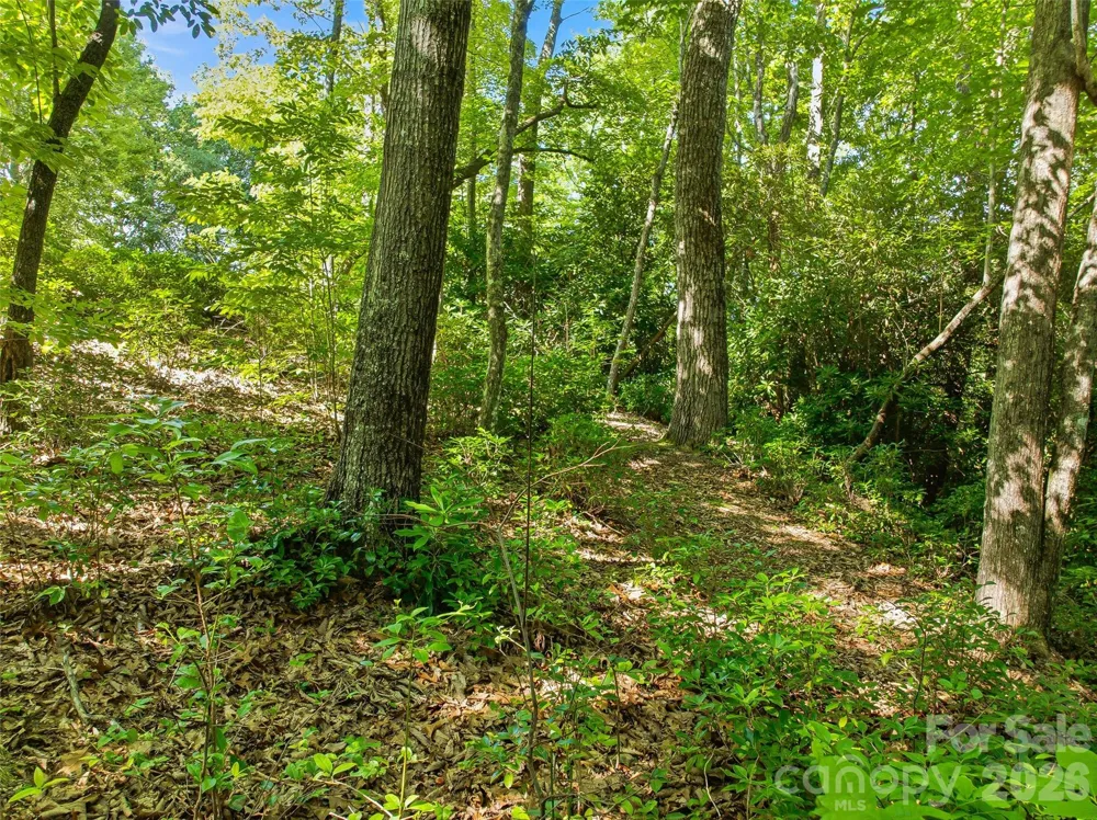 0000 Red Bud Lane #3-F Laurel Park, NC 28739