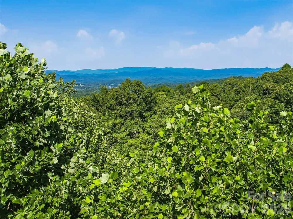 0000 Red Bud Lane #3-F Laurel Park, NC 28739