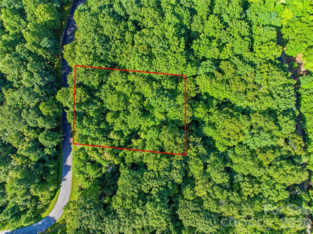 0000 Red Bud Lane #3-F Laurel Park, NC 28739