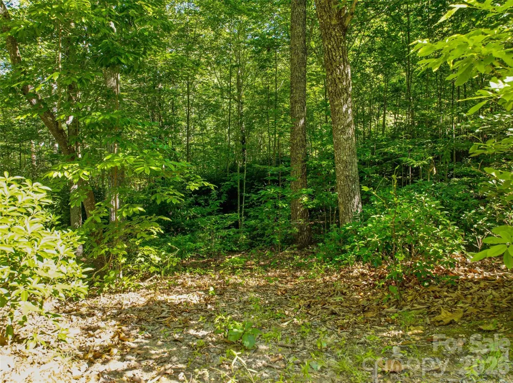 0000 Red Bud Lane #3-F Laurel Park, NC 28739