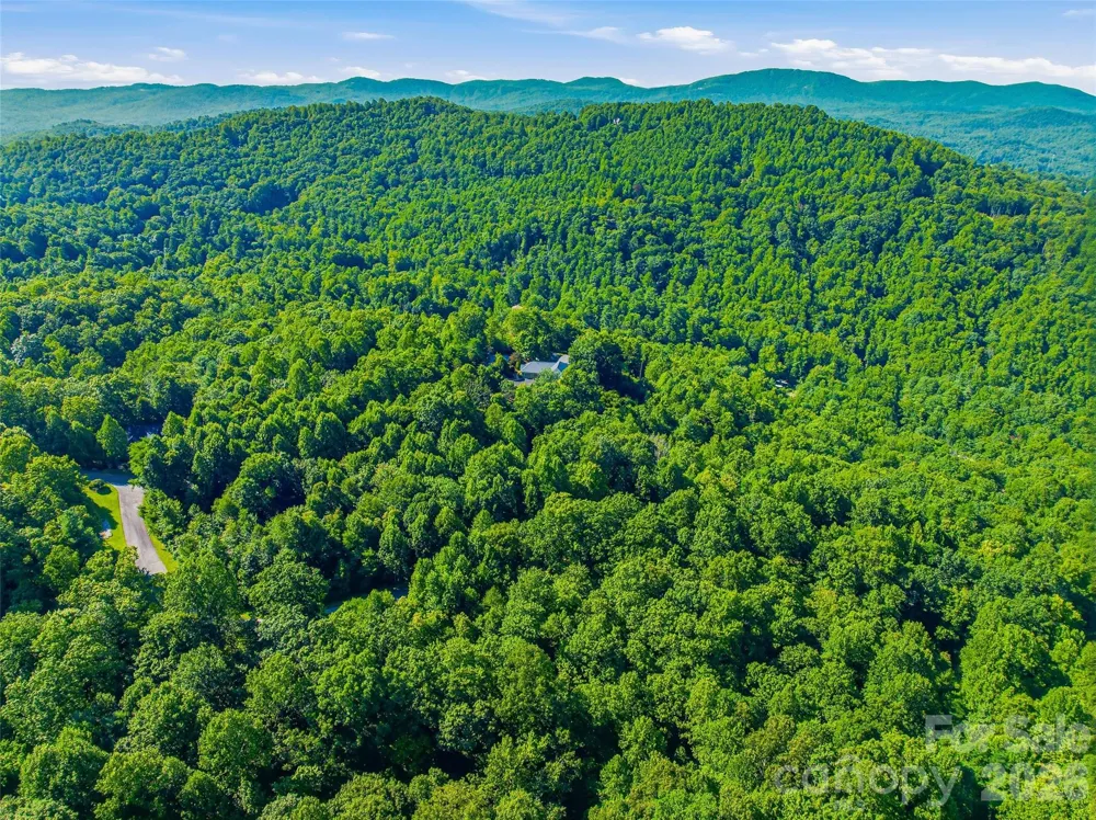 0000 Red Bud Lane #3-F Laurel Park, NC 28739