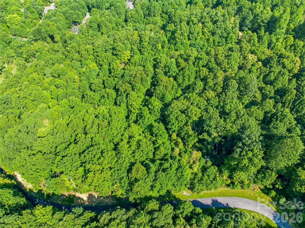 0000 Red Bud Lane #3-F Laurel Park, NC 28739
