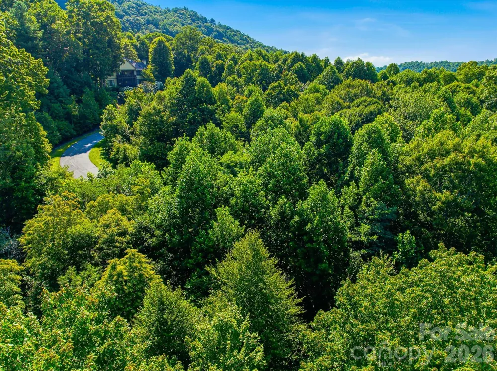 0000 Red Bud Lane #3-F Laurel Park, NC 28739