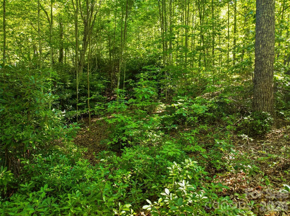0000 Red Bud Lane #3-F Laurel Park, NC 28739