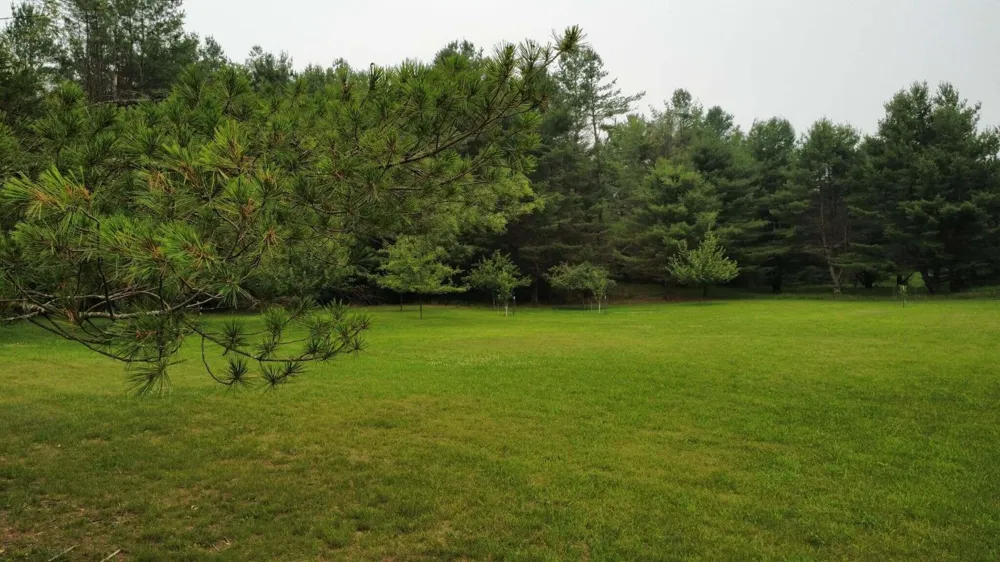 5149 E Clark Road Harrisville Township, MI 48740