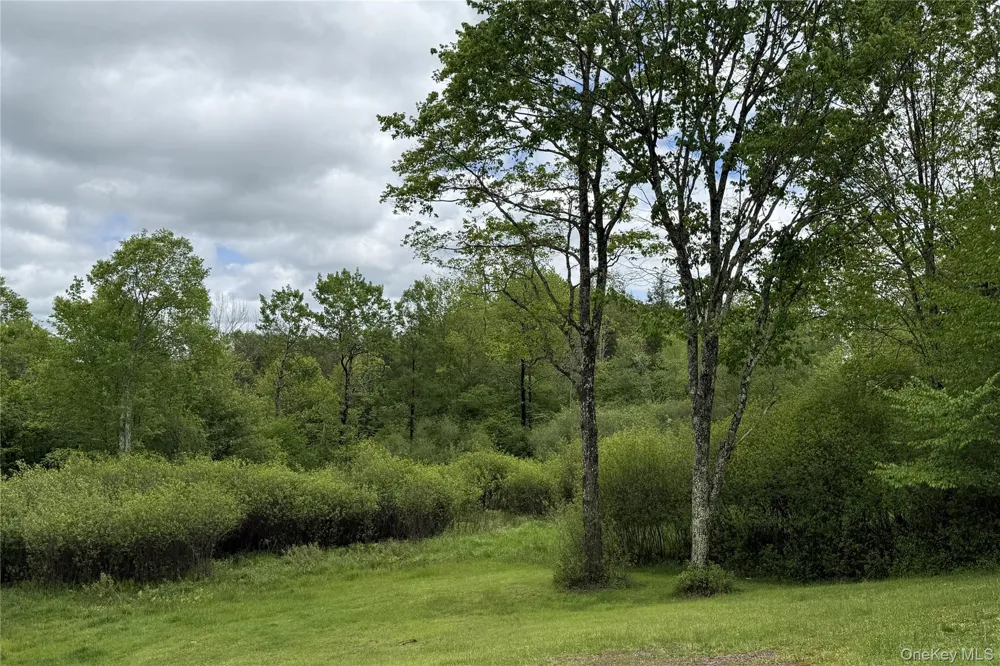 22 J Spielman Road Jeffersonville, NY 12748