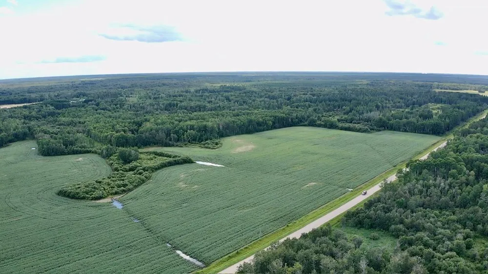 _ County Road 19 Roseau, MN 56751