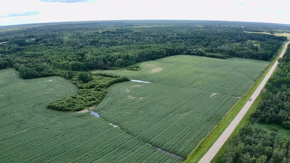 _ County Road 19 Roseau, MN 56751