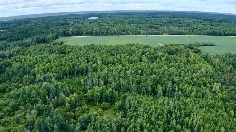 _ County Road 19 Roseau, MN 56751