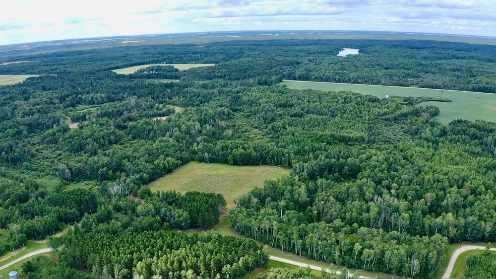 _ County Road 19 Roseau, MN 56751