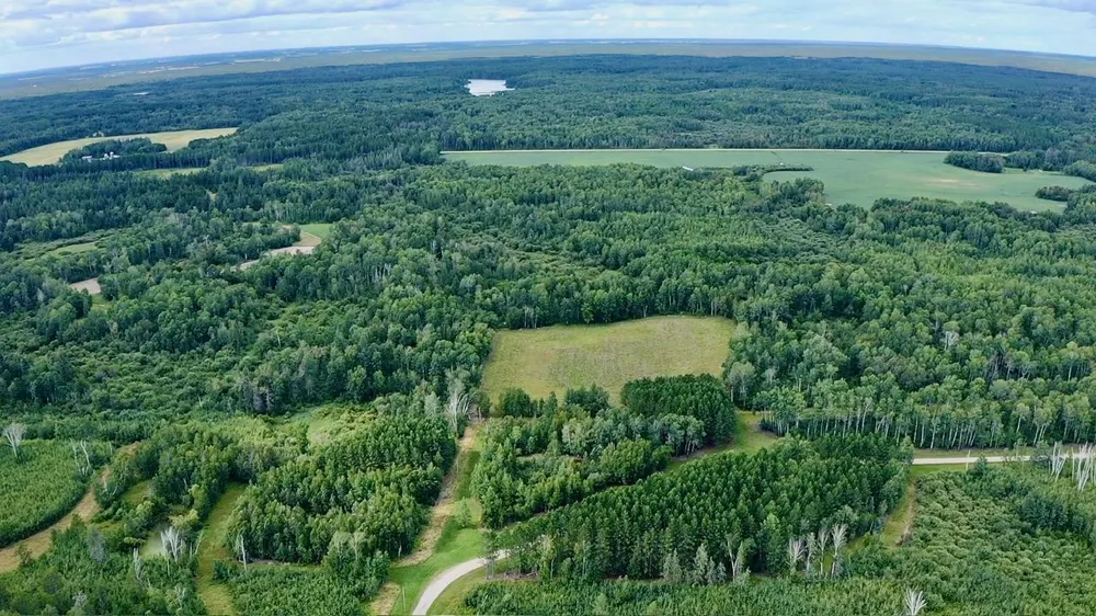 _ County Road 19 Roseau, MN 56751