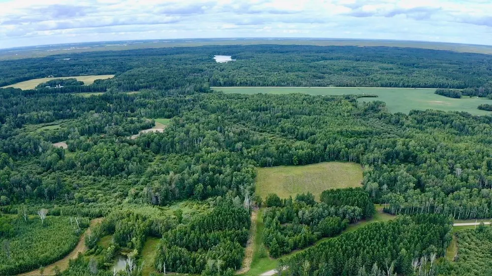 _ County Road 19 Roseau, MN 56751
