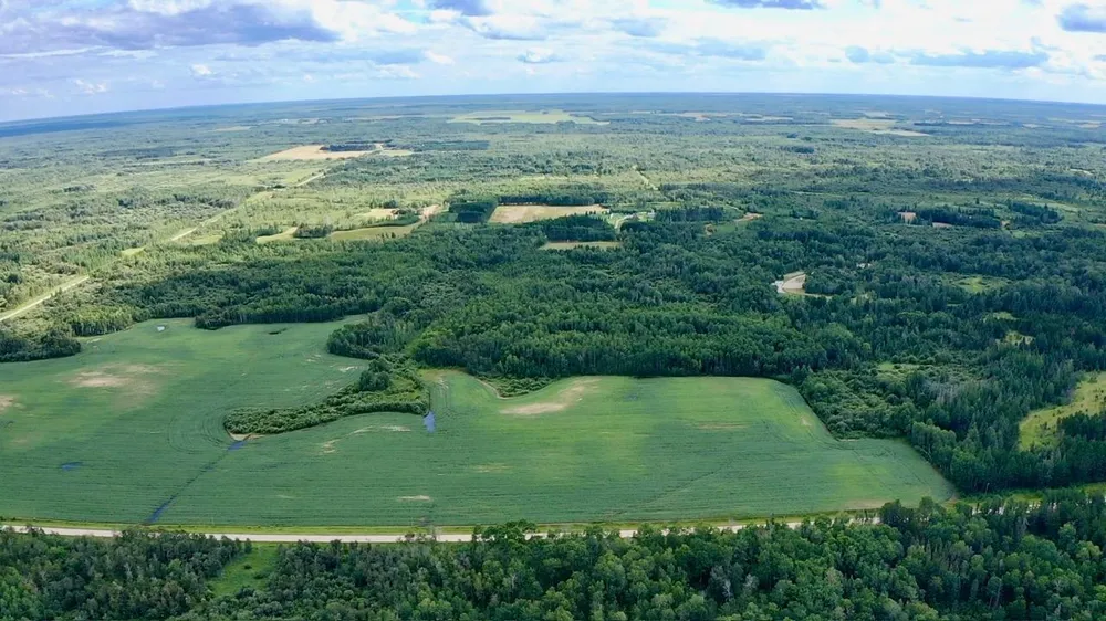 _ County Road 19 Roseau, MN 56751