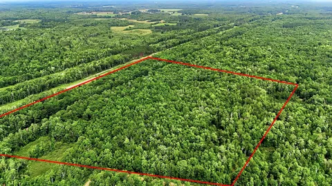 TBD Taylor Birch Rd